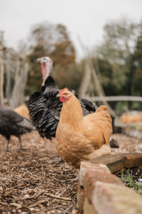 The Stables on Kip Hideaways