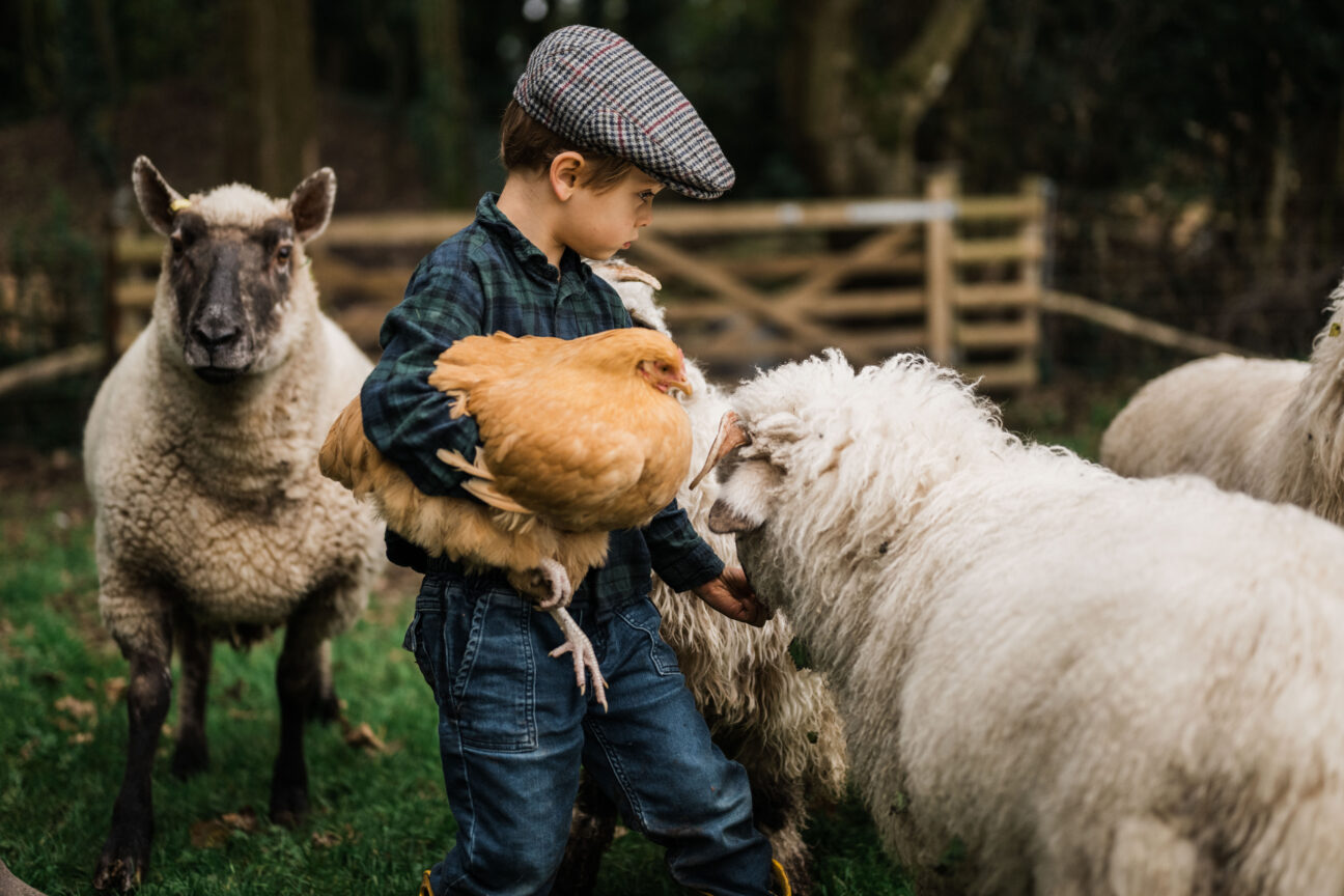 Combe Head House on Kip Hideaways