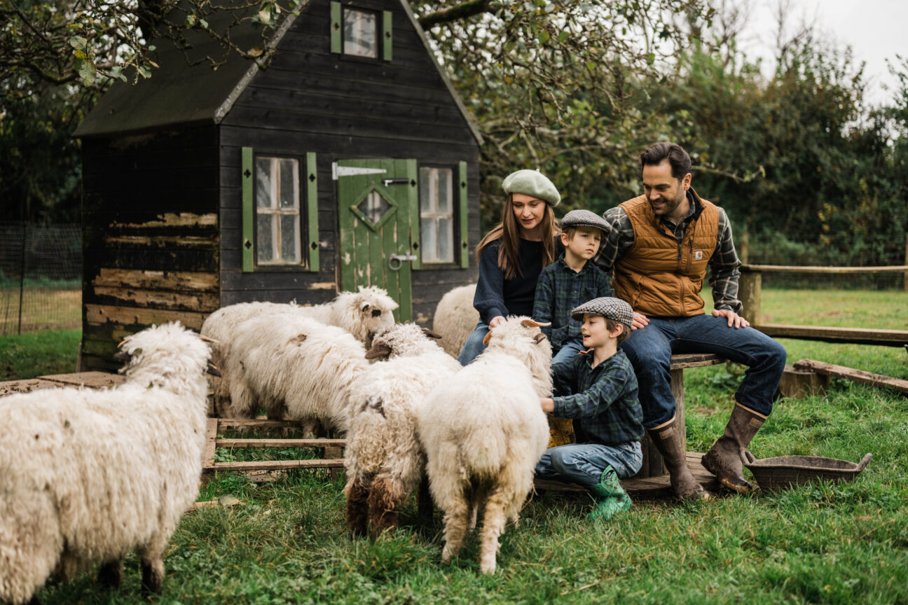 Combe Head House on Kip Hideaways