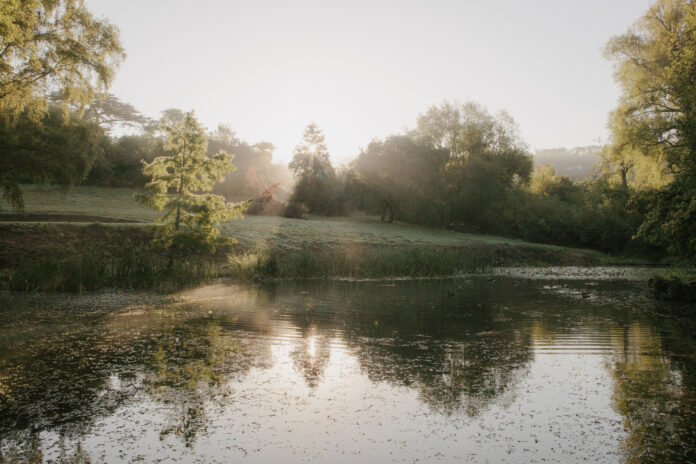 Duck House on Kip Hideaways