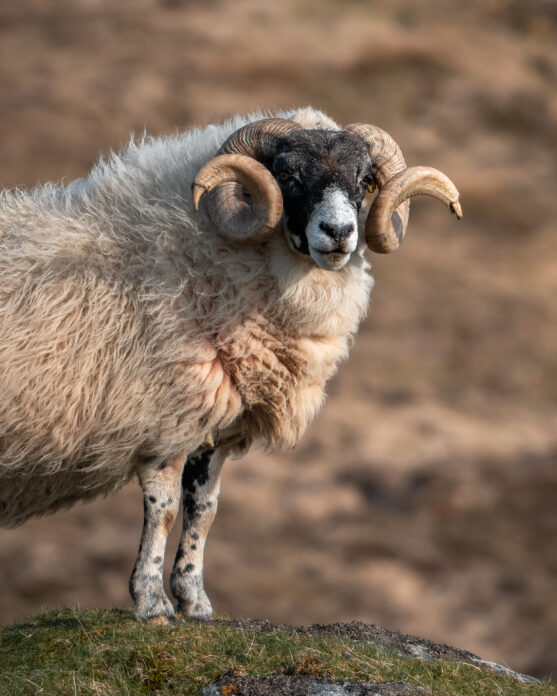 Hebrides House on Kip Hideaways