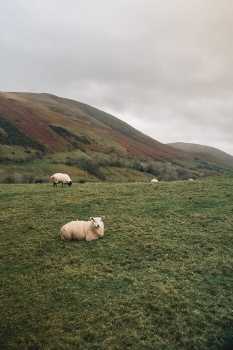 Ridge House on Kip Hideaways