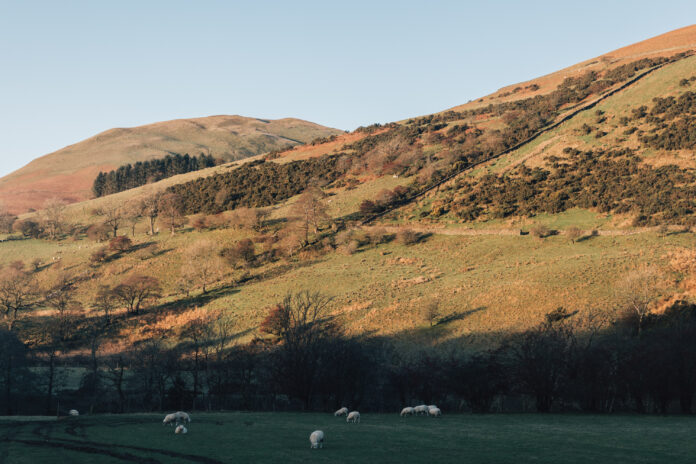 Ridge House on Kip Hideaways