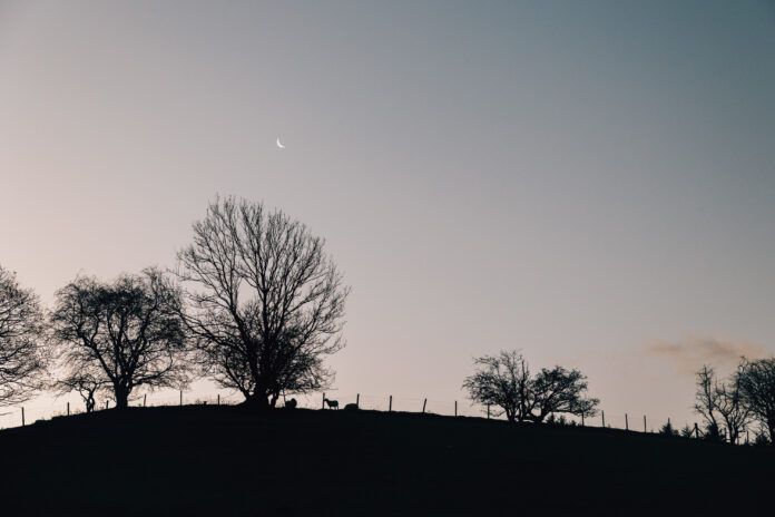 Ridge House on Kip Hideaways