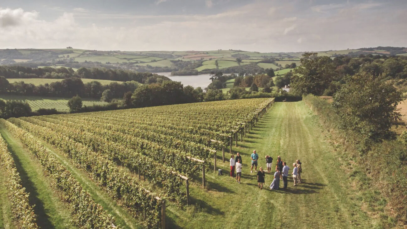 Sandridge Barton Estate