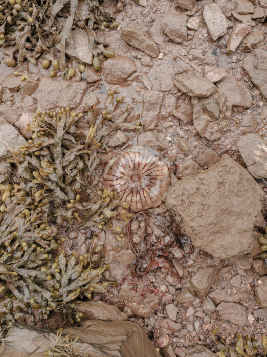 The Boathouse on Kip Hideaways