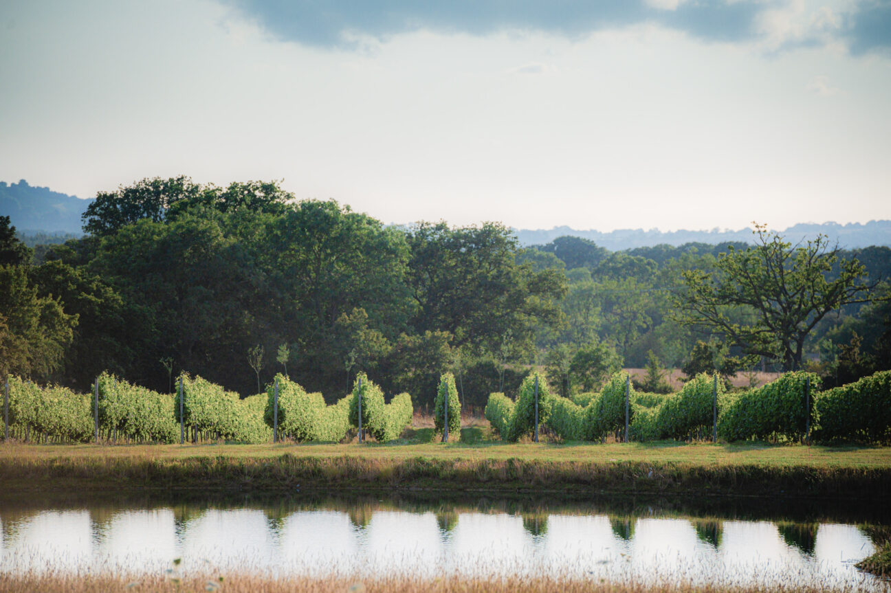 Wagtail Retreats on Kip Hideaways