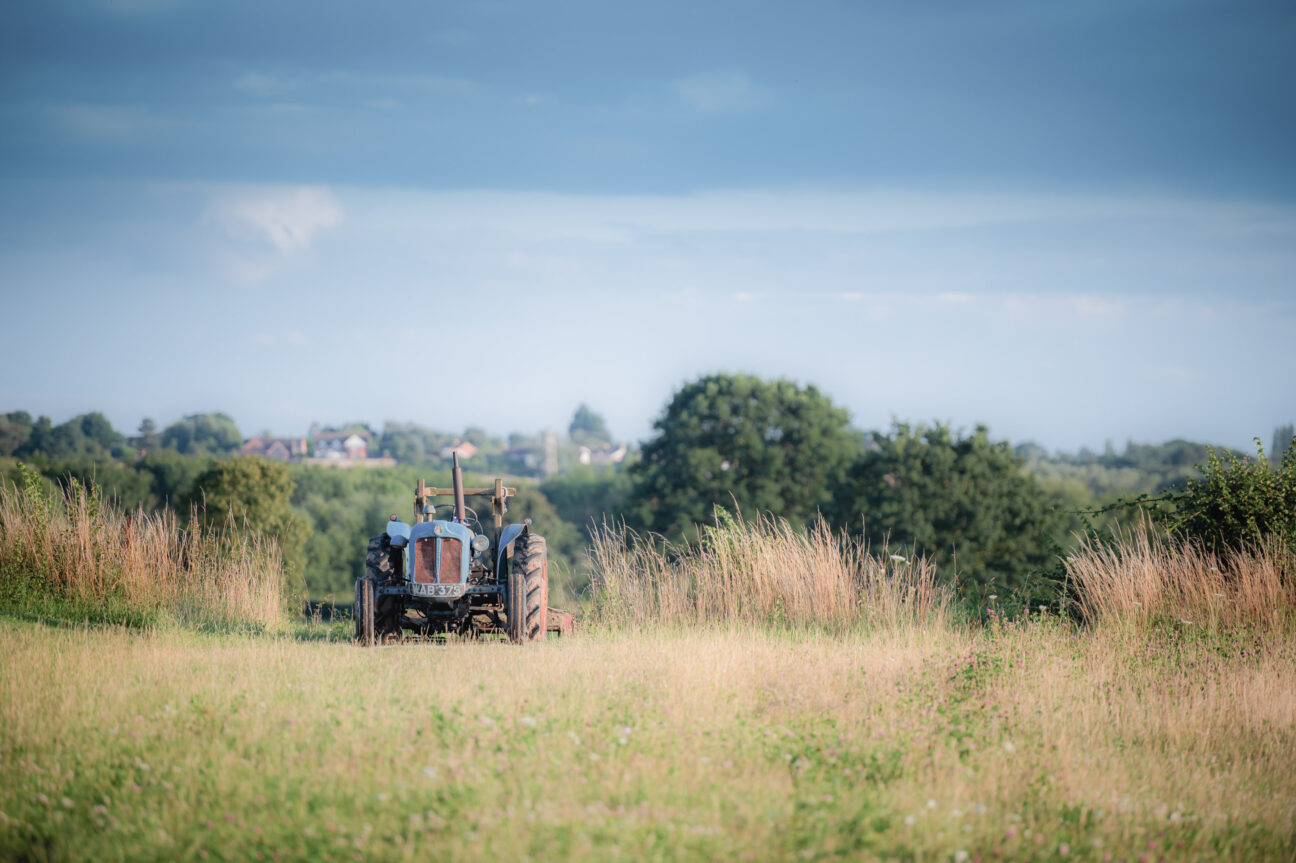 Wagtail Retreats on Kip Hideaways