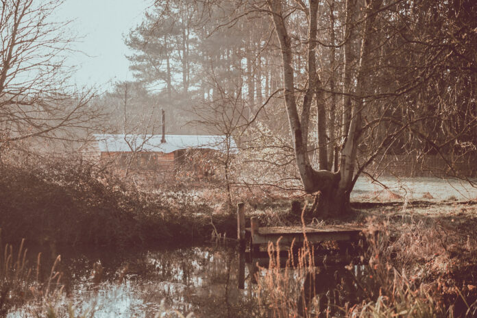 Albion Nights on Kip Hideaways