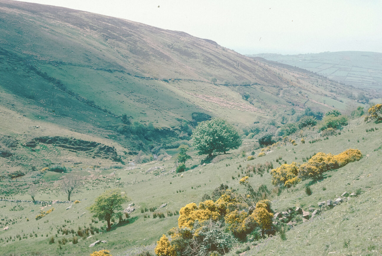 Dartmoor; Annie Spratt on Unsplash Media