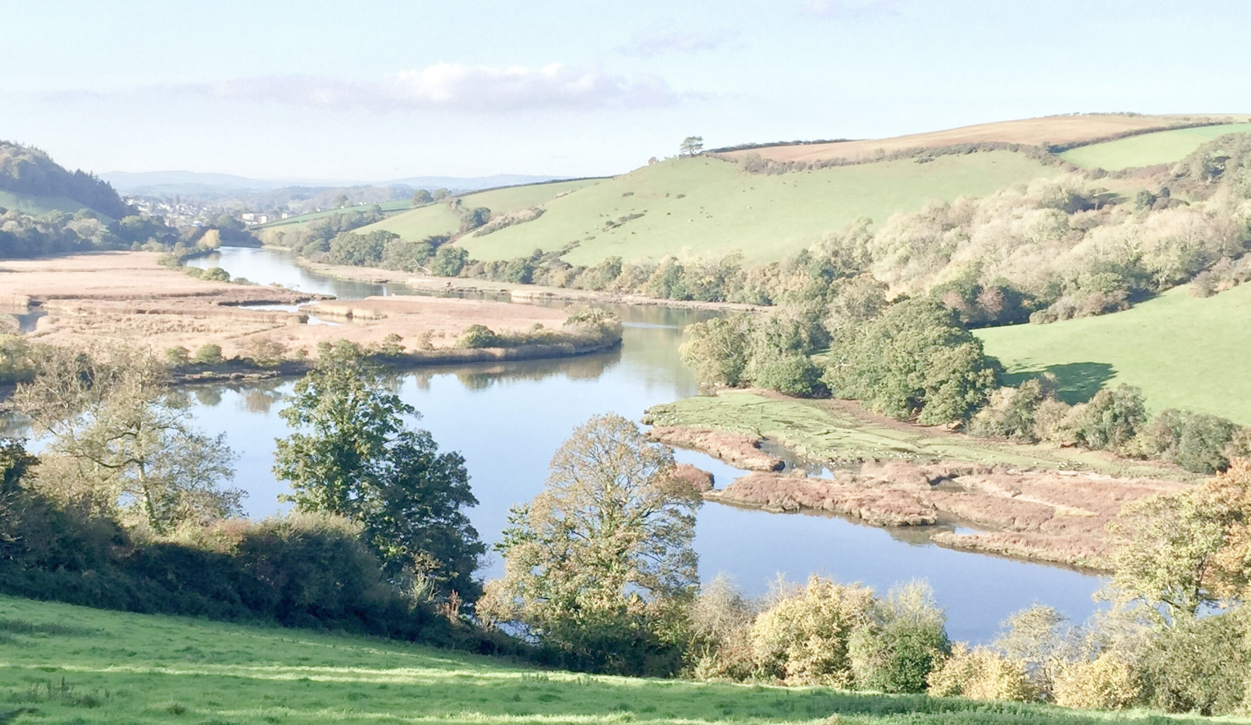 Devon by Valentina Sotnikova on Unsplash