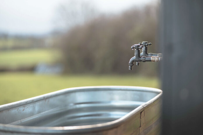 Hare by Solasta Creative X, White House Hideaway on Kip Hideaways -7 (1)