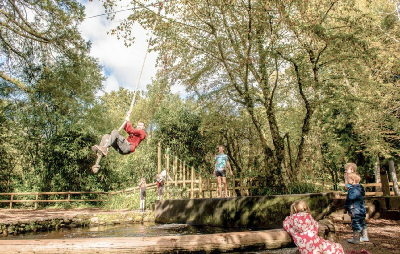 River Dart Country Park
