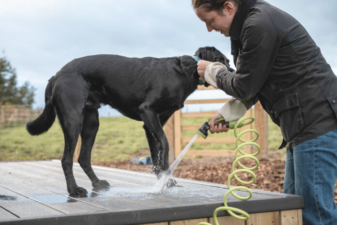 Snowdonia Shacks Ascella on Kip Hideaways