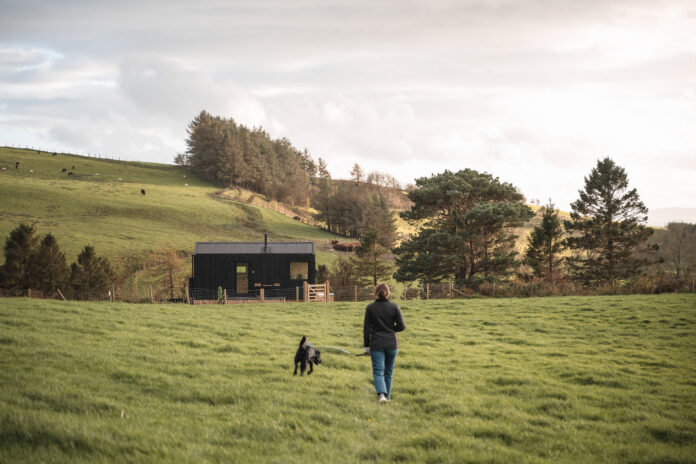 Snowdonia Shacks Ascella