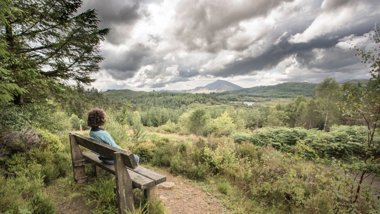 Snowdonia, Natural Resources Wales