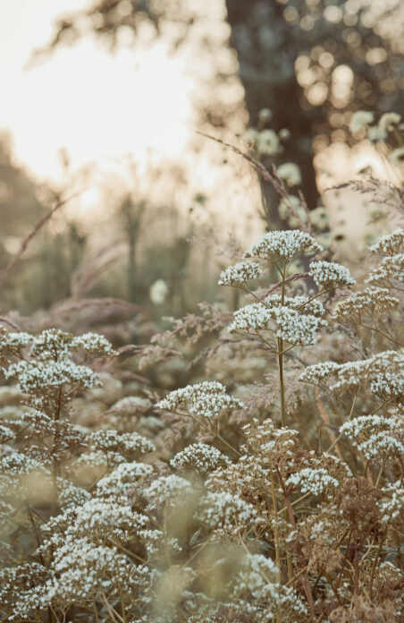 Itchen Valley Studio on Kip Hideaways