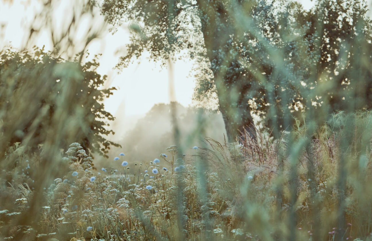 Itchen Valley Studio on Kip Hideaways