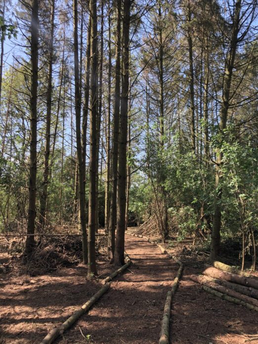 The Potting Shed on Kip Hideaways