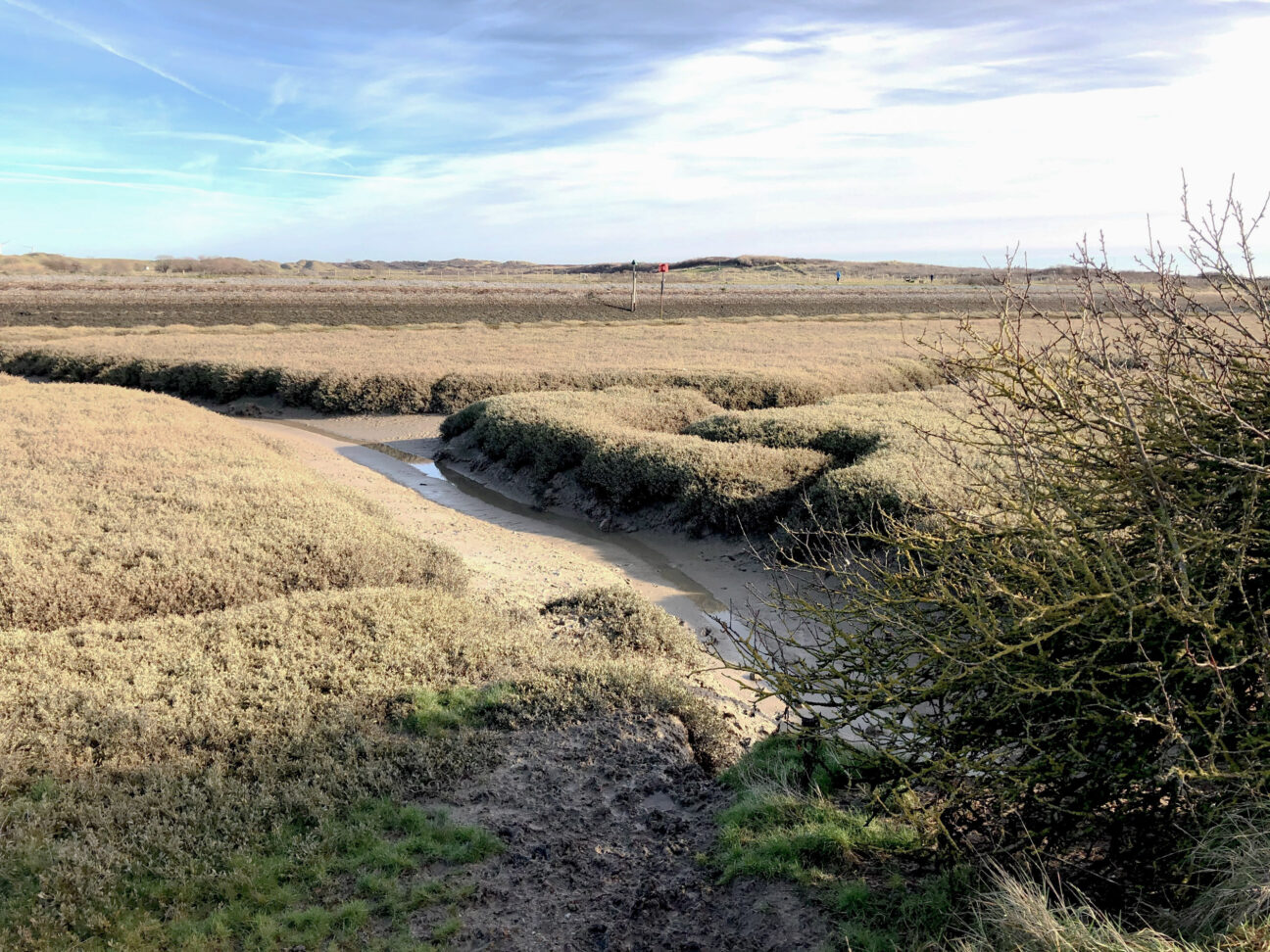 The Potting Shed on Kip Hideaways