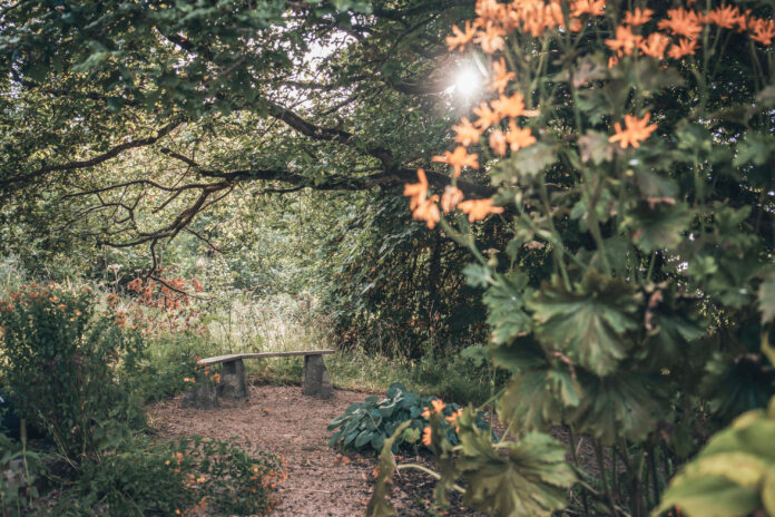 Whitehall Dairy on Kip Hideaways