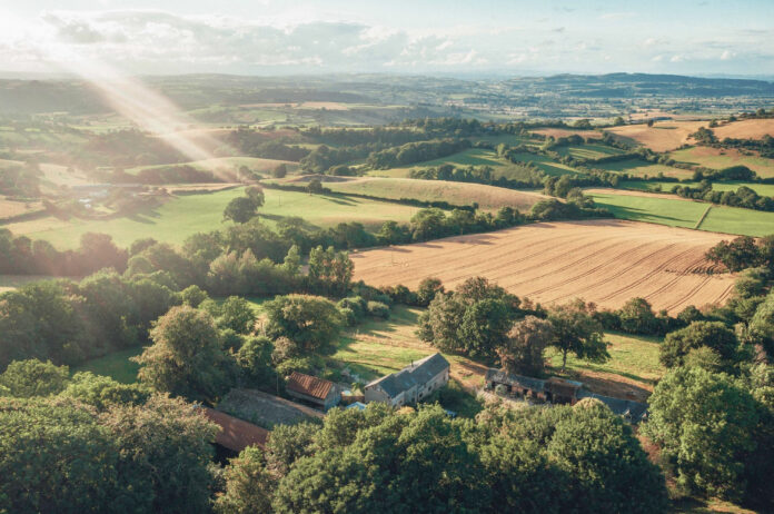Whitehall Dairy on Kip Hideaways