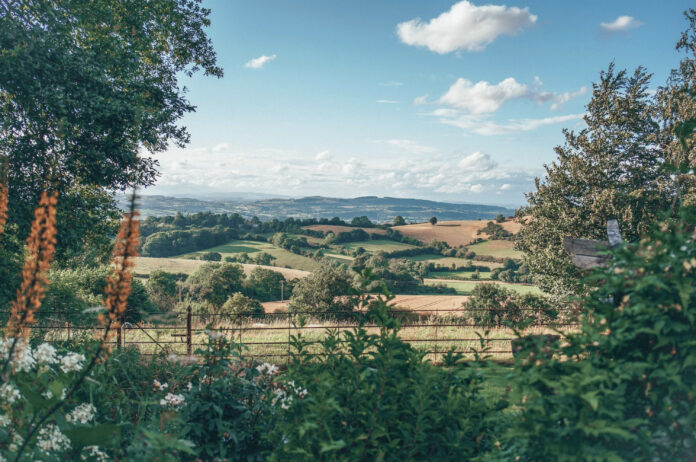 Whitehall Dairy on Kip Hideaways