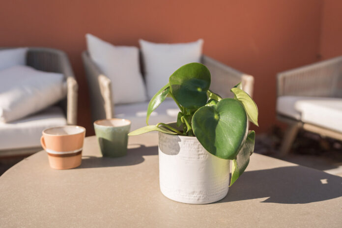 Heronmere on Kip Hideaways