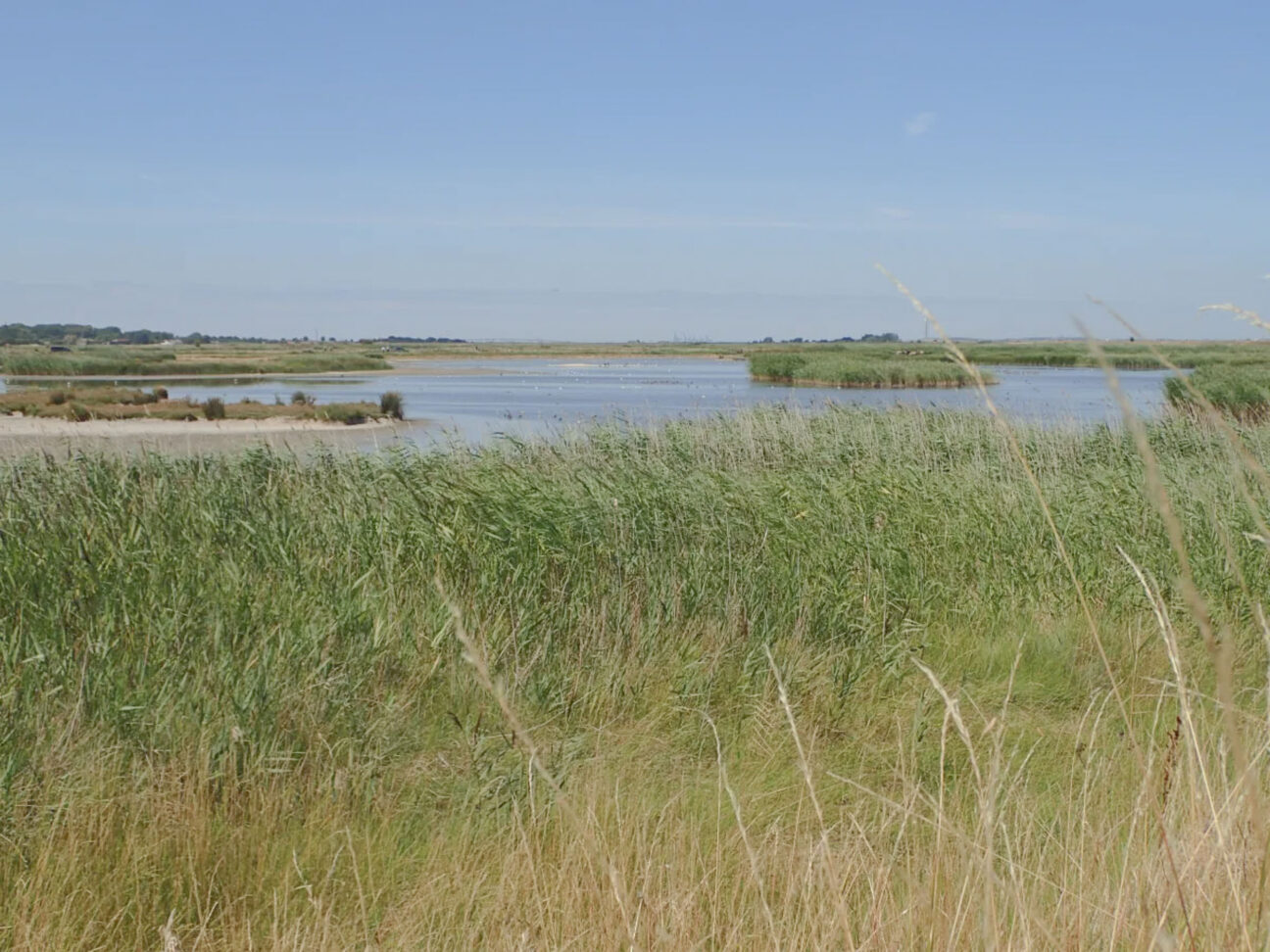 Oare Marshes near Red Cabin Oare on Kip Hideaways-1