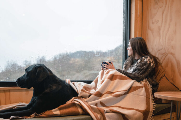 Bala Shack on Kip Hideaways