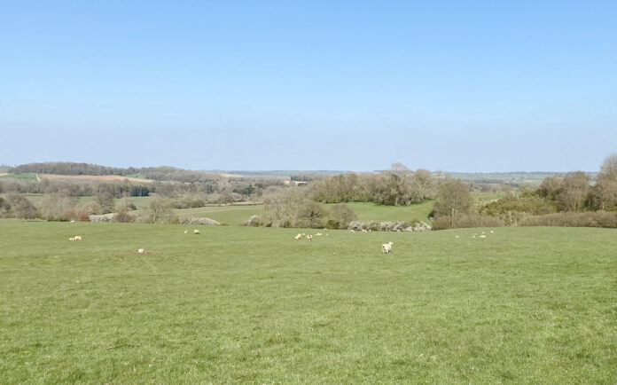 Cottesbrooke Estate on Kip Hideaways-2