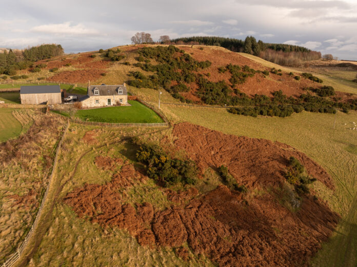Drumtennant Farm on Kip Hideaways