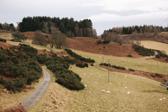 Drumtennant Farm on Kip Hideaways