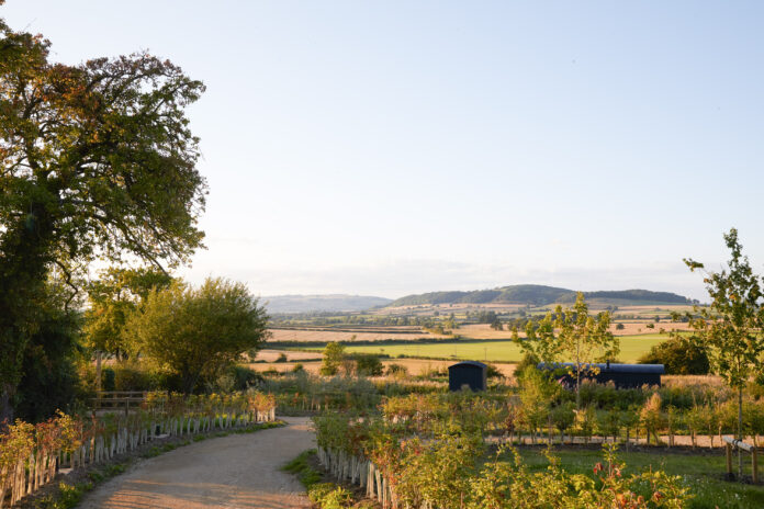 Huts at Royal Oak on Kip Hideaways