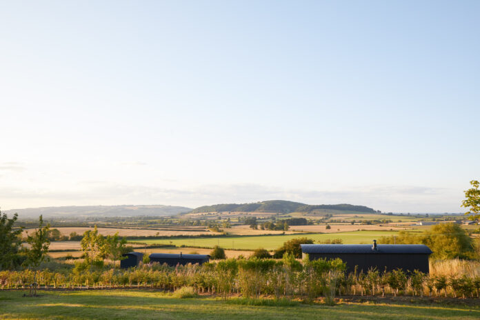 Huts at Royal Oak - Overbury on Kip Hideaways