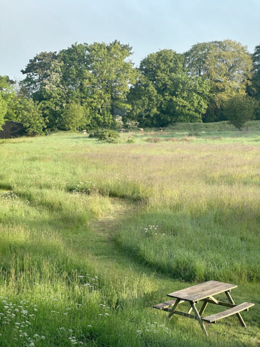 Meadow Lodge on Kip HIdeaways