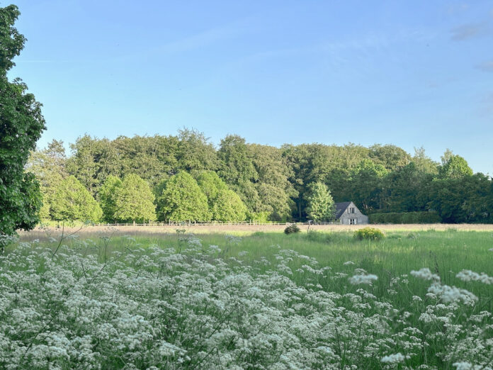 Meadow Lodge on Kip HIdeaways