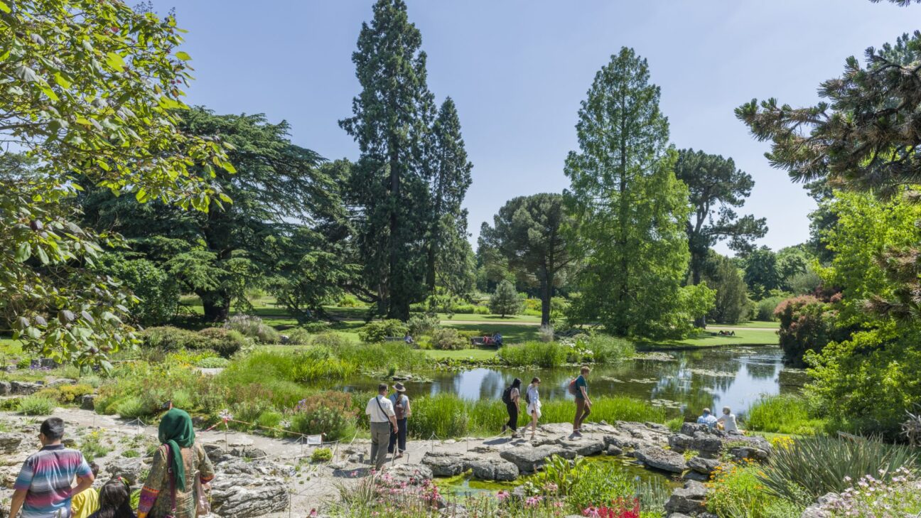 The University Botanic Garden