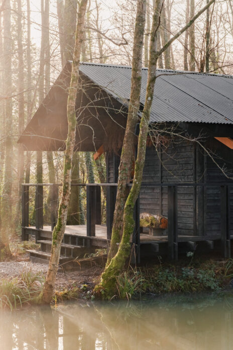 Yogis Cabin on Kip Hideaways