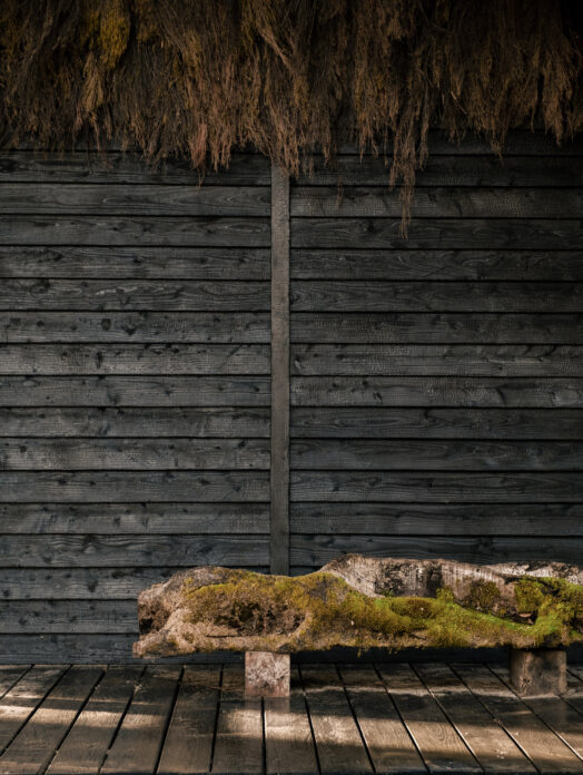 Yogis Cabin on Kip Hideaways