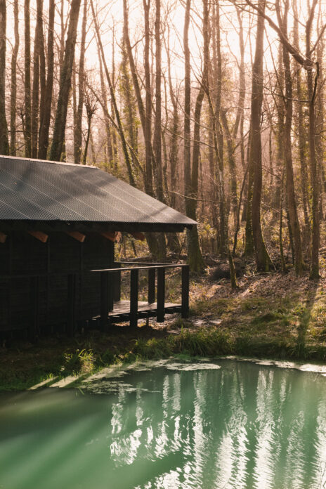 Yogis Cabin on Kip Hideaways