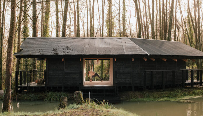 Yogis Cabin on Kip Hideaways