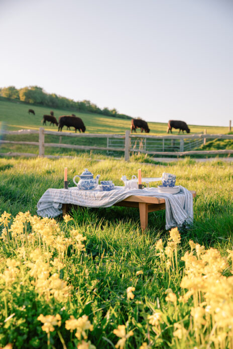 Downs Barn - Titch Hill on Kip Hideaways