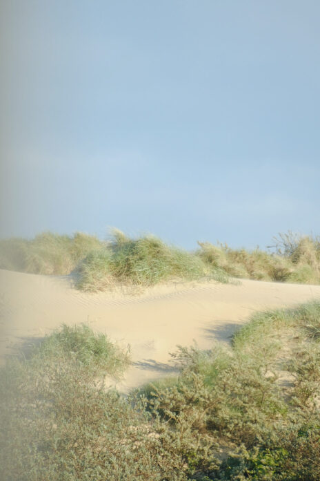 The Dunes - Emma Lavelle