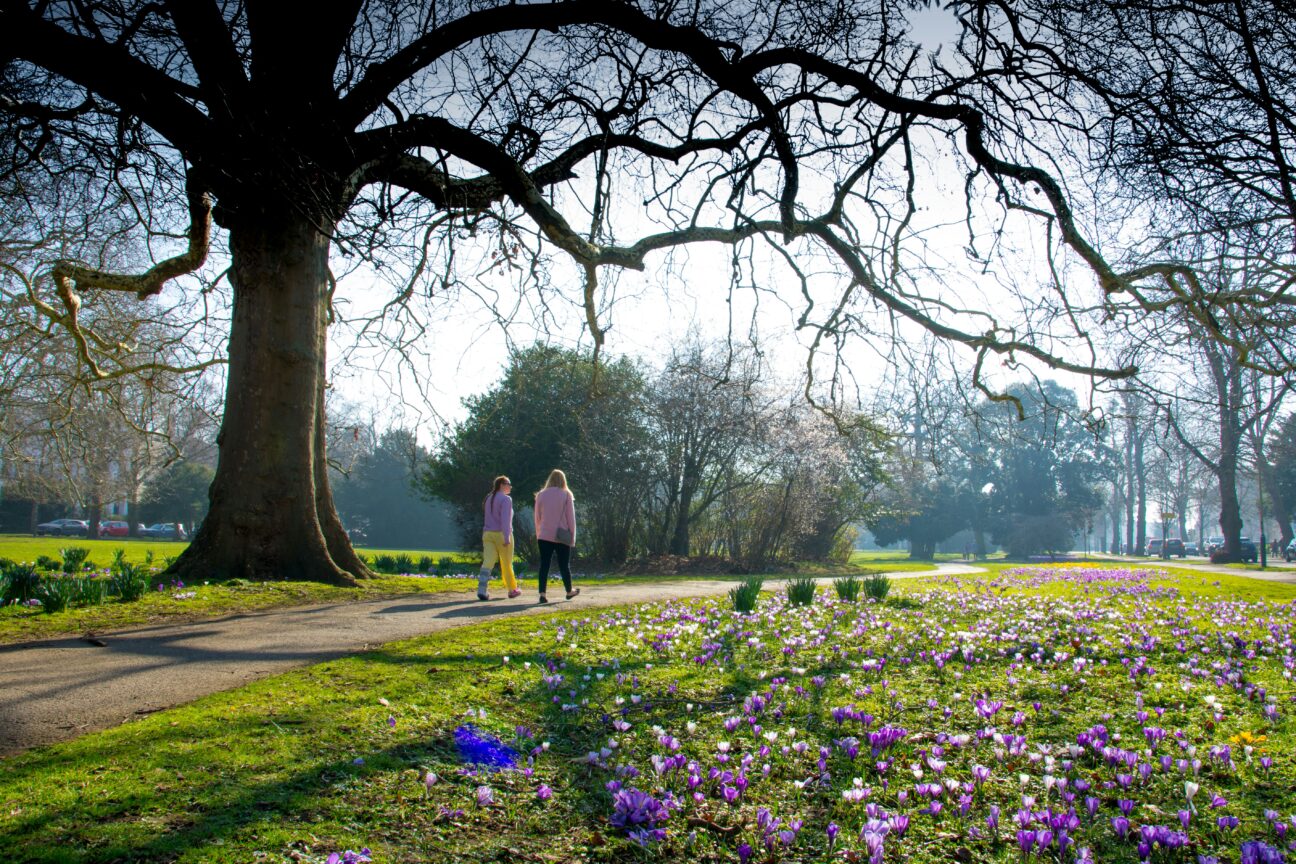 Cheltenham via Unsplash