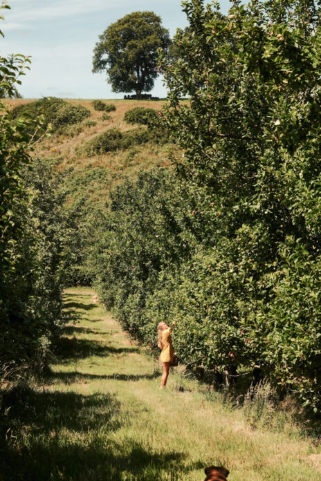 Hadspen Valley, Somerset