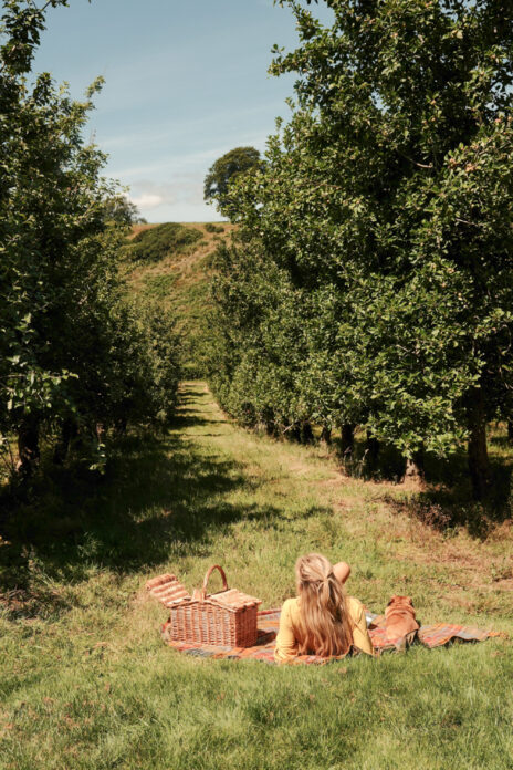 Hadspen Valley, Somerset