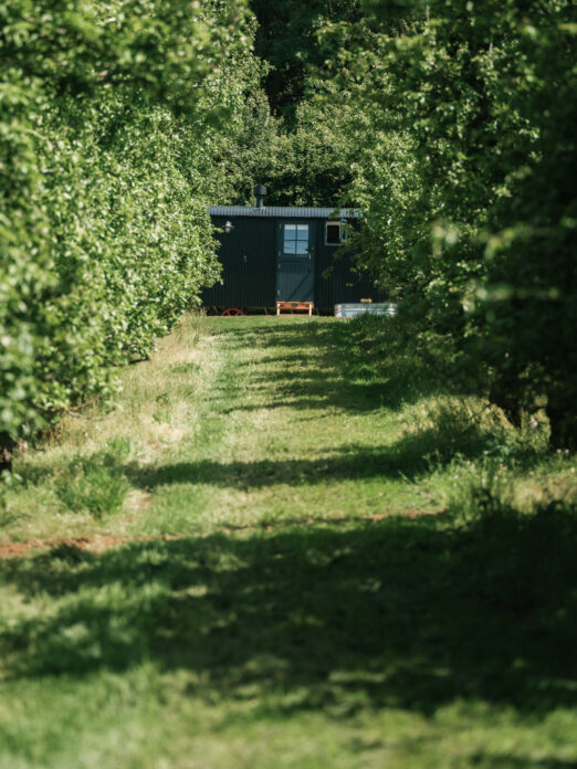 Hadspen Valley
