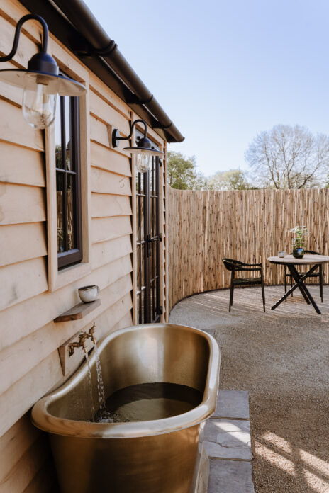 The Wild Root, Buckinghamshire