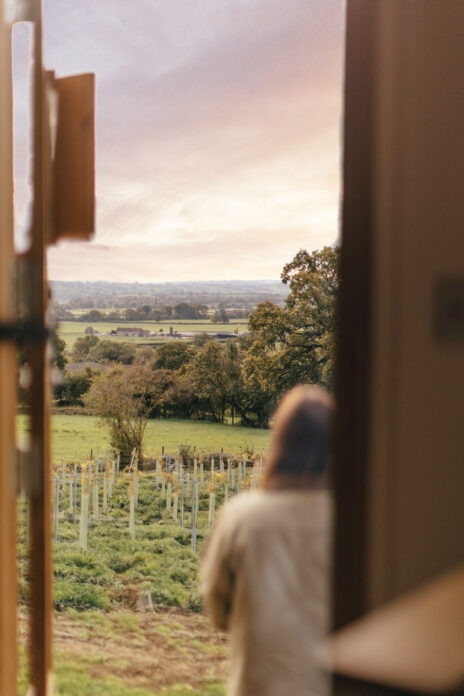 Wraxall Vineyard - Hare